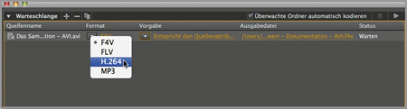 Adobe Media Encoder: Format → H.264 auswählen