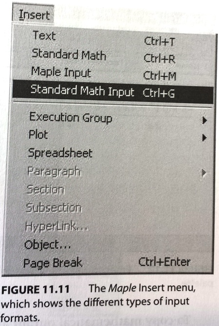 Maple Insert menu showing different types of input formats