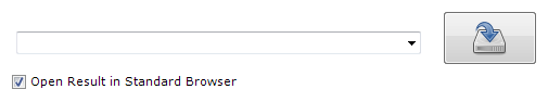 Ansicht zur Anzeige des Results im Browser